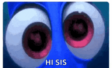 Dory Eyes Googly Eyes GIF - Dory Eyes Googly Eyes Looking GIFs