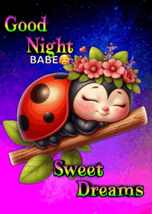 a ladybug is sleeping on a branch with the words good night babe and sweet dreams
