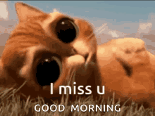 Love You I Miss You GIF