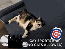 a cat is laying on a couch with a cubs logo on it .