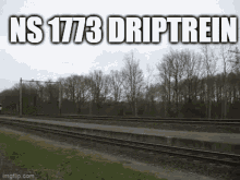 1700 1773 GIF - 1700 1773 Driptrein GIFs