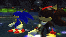 sonic and shadow are standing next to each other in a video game