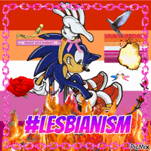 a picture of a cartoon character with the words lesbianism written on it