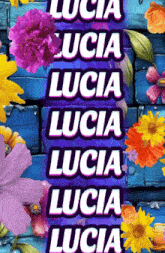 the name lucia is displayed on a blue background with flowers