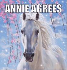 Horse Annie GIF