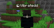 Vibrated Minecraft GIF - Vibrated Minecraft Shift GIFs