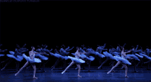 Ballet Pointe GIF