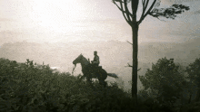 Red Dead Redemption Personal Use GIF - Red Dead Redemption Personal Use Do Not Use GIFs