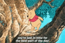 Winnie The Pooh Pooh Bear GIF - Winnie The Pooh Pooh Bear Best Day GIFs