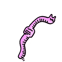 kstr kochstrasse worm knot animal