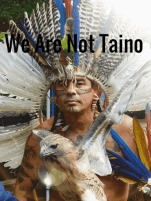 We Are Not Taino Taino GIF - We Are Not Taino Taino Bird GIFs