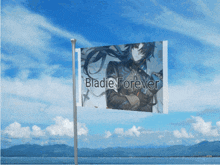Blade Blade Honkai GIF - Blade Blade Honkai Blade Hsr GIFs