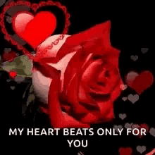 Heart Rose GIF - Heart Rose Love GIFs