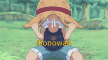 Luffy Donowall GIF - Luffy Donowall GIFs