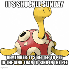 a cartoon of a turtle with the caption " it 's shuckle sunday "