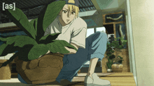 a cartoon of a man kneeling next to a potted plant with the words [ as ] on the bottom right