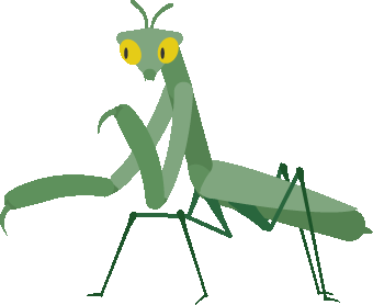 Grasshopper Sticker - Grasshopper Stickers