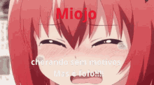 Miojoo GIF - Miojoo Miojo GIFs