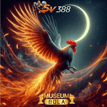 a poster of a rooster with the words museum bola below it