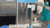 Sakilovesyou Goodnight Mimi GIF - Sakilovesyou Goodnight Mimi GIFs