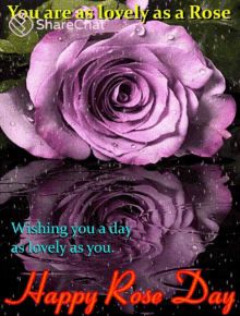 Happy Rose Day You Are As Lovely As A Rose GIF
