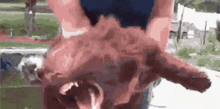 GIF