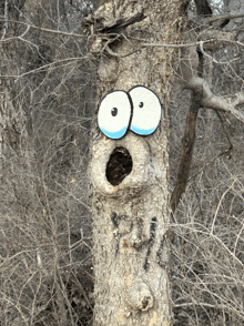 Surprised Face GIF - Surprised Face GIFs
