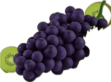 Grapes Purple Grapes GIF
