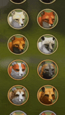 Fox Wildcraft GIF - Fox Wildcraft GIFs
