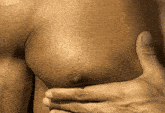 Muscular Chest-muscles GIF - Muscular Chest-muscles Fitness GIFs