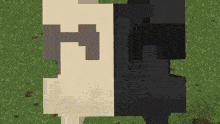 an aerial view of a minecraft map with a black and white block in the middle