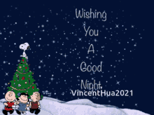 Good Night Vincent Hua GIF - Good Night Vincent Hua Charlie Brown And Lucy Van Pelt GIFs