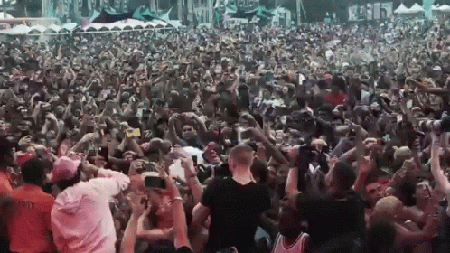 Concert Crowd GIF - Concert Crowd Live - Discover & Share GIFs