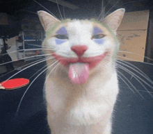 Joker Cat GIF - Joker Cat GIFs