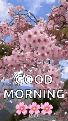 a cherry blossom tree with pink flowers and the words `` good morning '' .