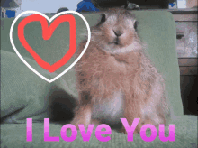 I Love You Heart GIF - I Love You Heart Hare GIFs