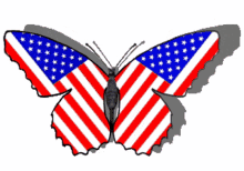 stickers stars and stripes butterfly 3d gifs artist american flag