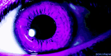 Purple Eye GIF