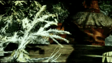 a blurry picture of a tree with a few branches and a sign that says ' a '