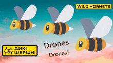 Wild Hornets Cyd GIF - Wild Hornets Cyd Ukraine GIFs