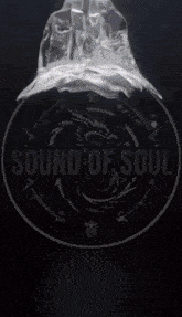 a black and white logo for sound of soul with a dragon