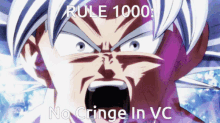 Rule1000 No Cringe In Vc GIF - Rule1000 No Cringe In Vc GIFs