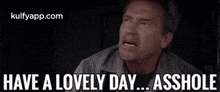 Have A Lovely Day... Asshole.Gif GIF - Have A Lovely Day... Asshole Goodmorning Arnold Schwarzenegger GIFs