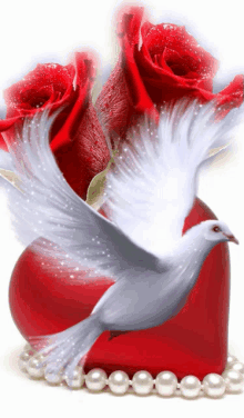 Bird Dove GIF - Bird Dove Roses GIFs