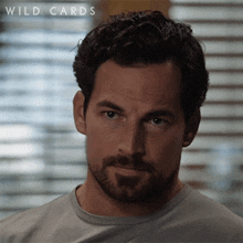 Can I Say Something Sir Cole Ellis GIF - Can I Say Something Sir Cole Ellis Wild Cards GIFs