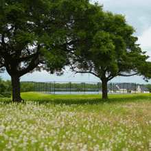 a tennis court is behind a fence in a field