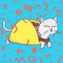 Taco Cat GIF - Taco Cat GIFs