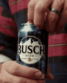 beer busch lets drink alcohol