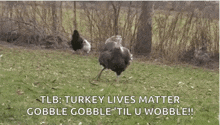 Big Neck Dancing Turkey GIF