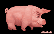 خوک GIF - خوک GIFs